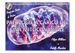 Mutazioni del DNA Mitocondriale (Millitarì, Macalluso)