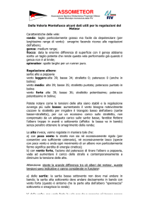 Armo-Regolazione Vele