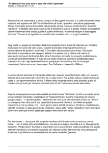 Le staminali non sono sicure: stop alle cellule