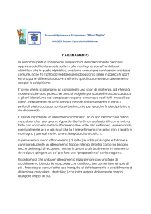 l`allenamento - Società Escursionisti Milanesi