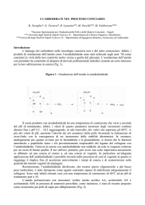 i carboidrati nel processo conciario