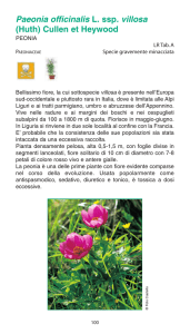 Valori e rarità della flora ligure