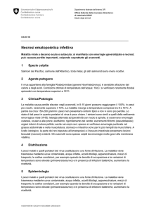 Informazioni tecniche : Necrosi ematopoietica infettiva