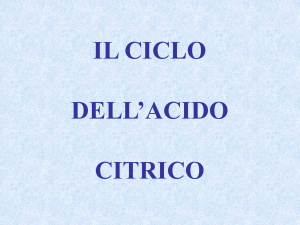 9. Ciclo di Krebs File - e