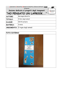 Il libro - Laboratorio Interattivo Manuale