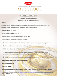 6 Giugno - Lallemand Wine