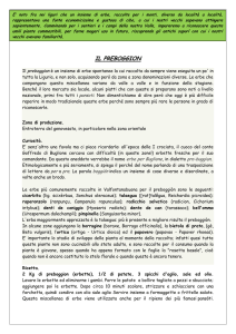 il preboggion - Fungo di Borgotaro