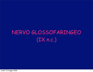 NERVO GLOSSOFARINGEO (IX n.c.)