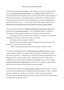 I prioni - c@siniduepuntozero