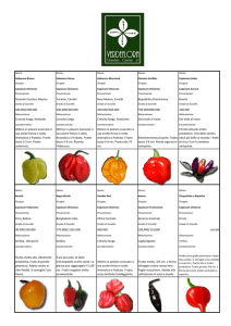 Tabella dei Peperoncini Verdeflora
