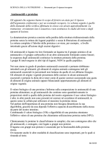 Aminoacidi e proteine