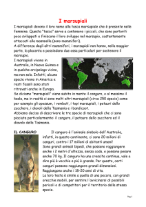 Marsupiali