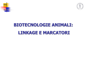 L`analisi di linkage