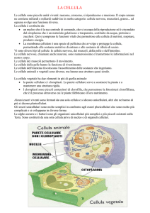 La cellula