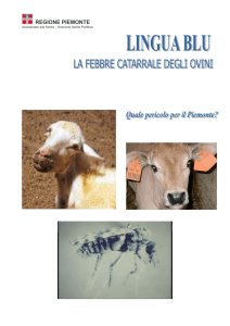 REGIONE PIEMONTE