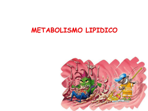METABOLISMO LIPIDICO