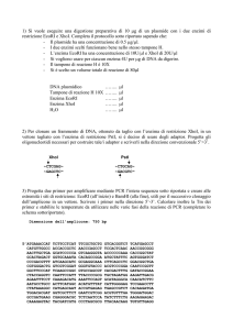 1) Si vuole eseguire una digestione preparativa di