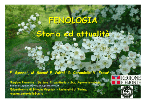 Fenologia storia e attualità