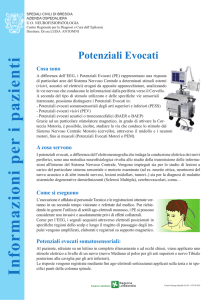Potenziali evocati motori - Spedali Civili di Brescia