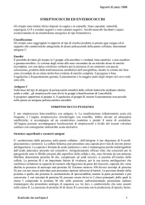 Streptococchi e enterococchi