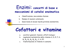 Cofattori e vitamine