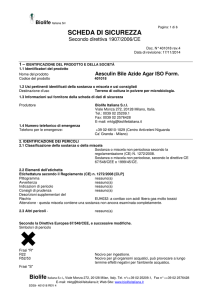 scheda di sicurezza