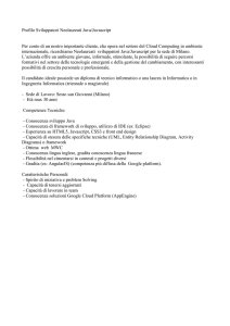 Profilo Sviluppatori Neolaureati Java/Javascript