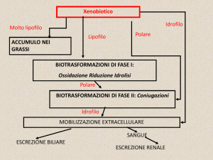 Tossicocinetica IIa parte
