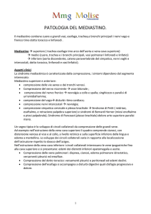 patologia del mediastino.
