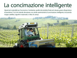 Vigneti più sostenibili per l`economia e l`ambiente, qualità