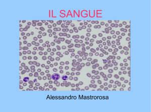 IL SANGUE