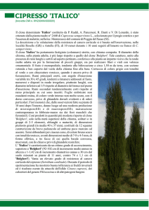Italico - Home page ProVerde