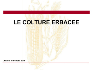 Le colture erbacee - Collegio Periti Agrari Padova