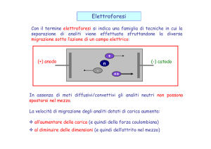 Elettroforesi parte A_CAII