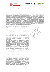46. Carciofo violetto di Sant`Erasmo