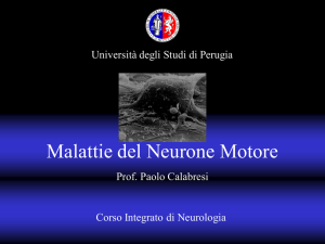 Malattie del neurone di moto