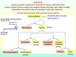 substrato molecola