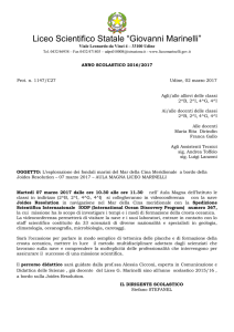 C406- VIDEOCONFERENZA07_03_17