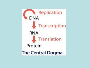 Gene - Unife