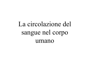 6_CIRCOLAZIONE DEL SANGUE