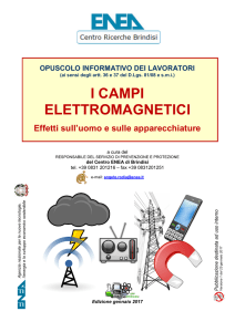 i campi elettromagnetici