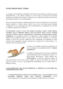 Evoluzione uomo - Istituto Comprensivo Lari
