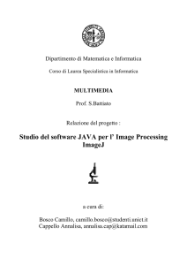 Studio del software JAVA per l` Image Processing ImageJ