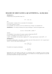 10 Settembre 2013  - Dipartimento di Matematica e Fisica