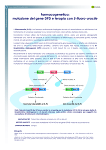 Scheda completa Terapia con 5-fluoro