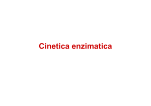 11-Enzimi 2 - Cinetica enzimatica