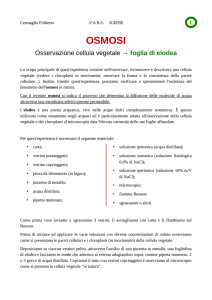 RELAZIONE OSMOSI