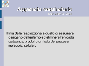 Apparato respiratorio