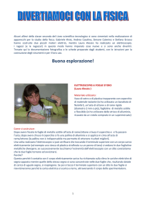 Fisica divertente