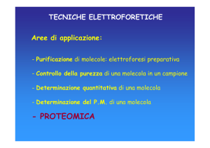 02-Elettroforesi